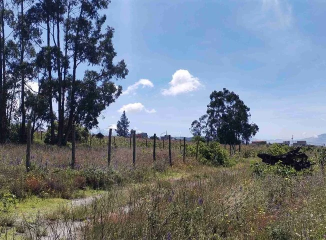 Terreno en venta en Pedro Moncayo — imagen 3