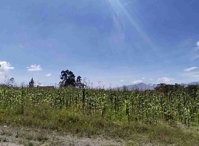 Terreno en venta en Pedro Moncayo — imagen 2