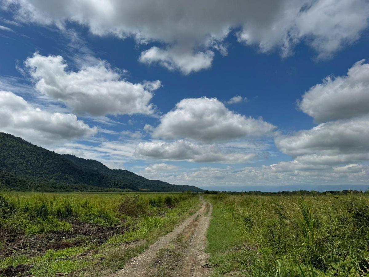 Vendo Hacienda en Sector Churute Guayas, Guayas — imagen 10