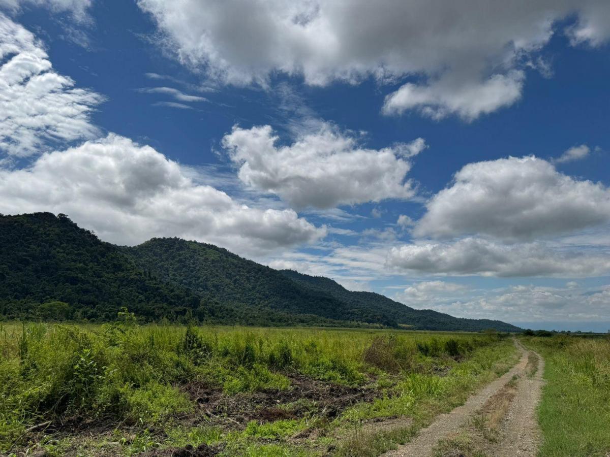 Vendo Hacienda en Sector Churute Guayas, Guayas — imagen 8