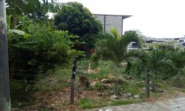 Terreno en venta en Manta — imagen 4