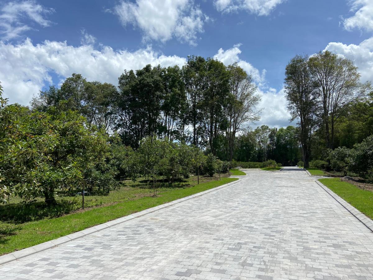 Checa Urbanización Privada — imagen 8