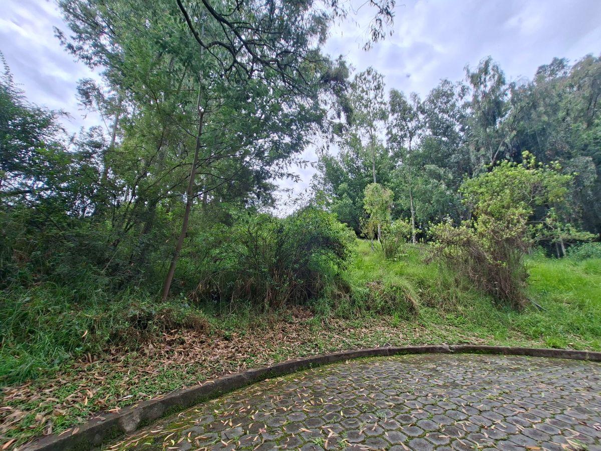 Vendo Terreno Valle de Los Chillos — imagen 7