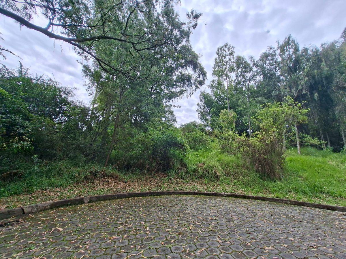 Vendo Terreno Valle de Los Chillos — imagen 6