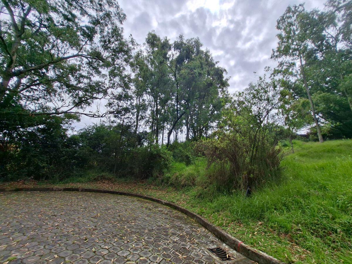 Vendo Terreno Valle de Los Chillos — imagen 5