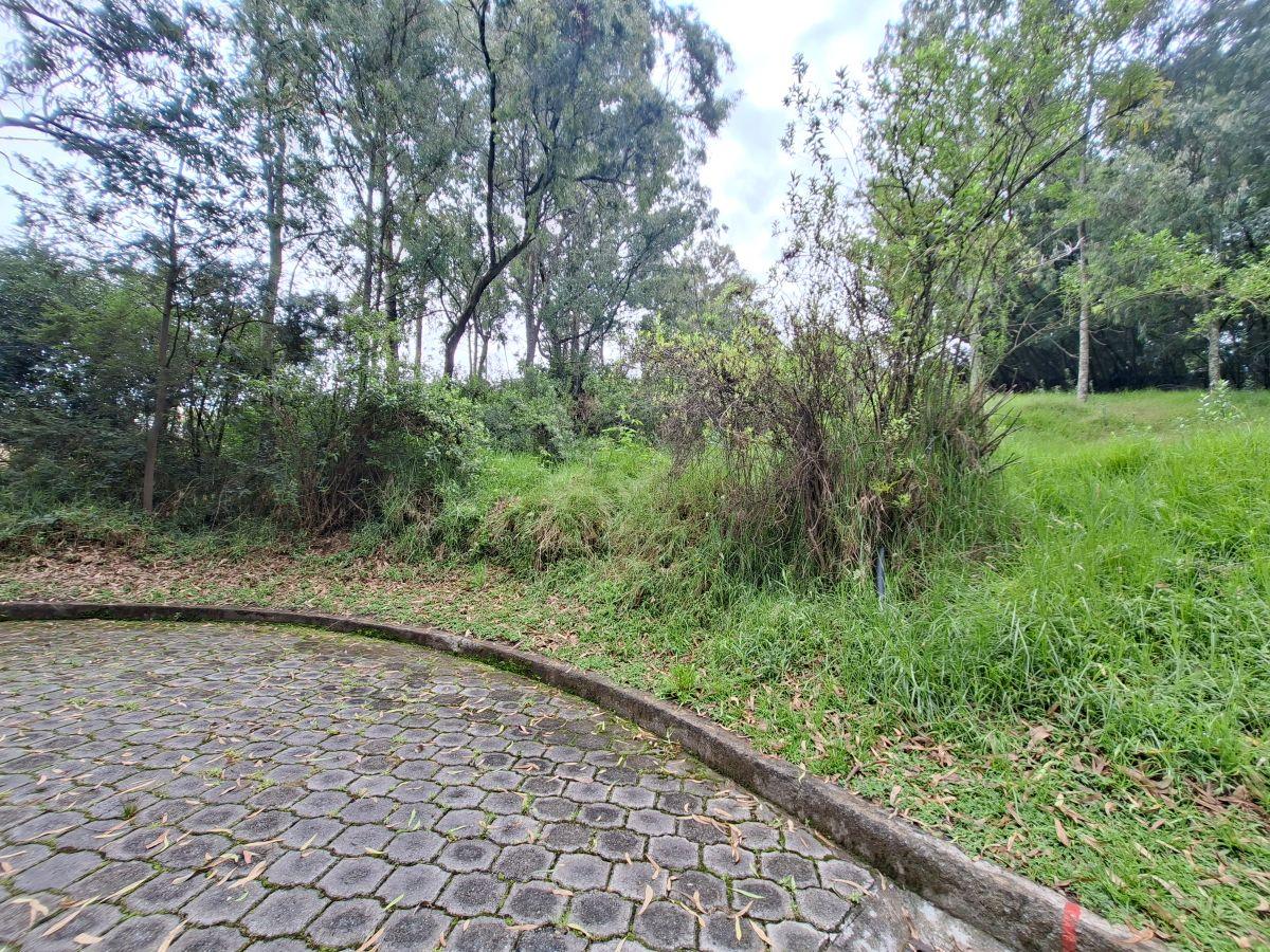 Vendo Terreno Valle de Los Chillos — imagen 4