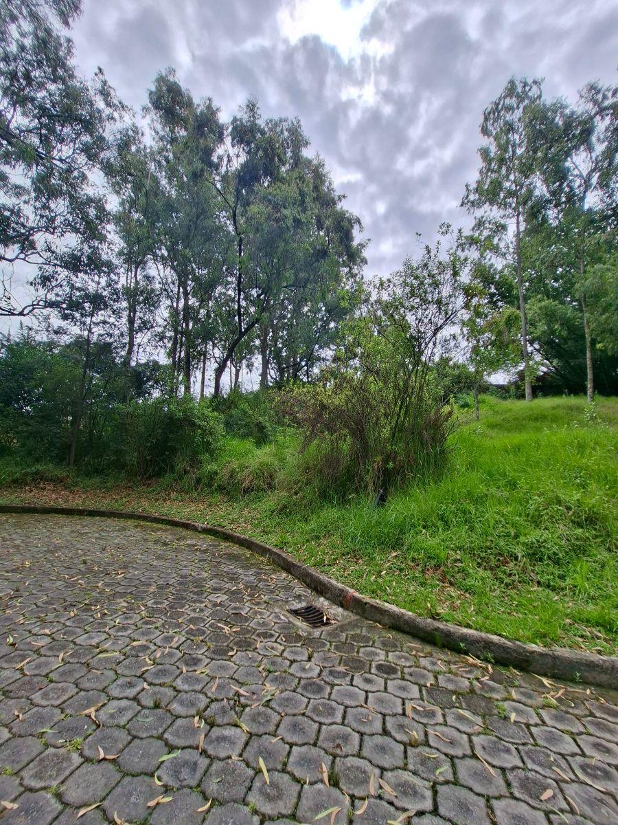 Vendo Terreno Valle de Los Chillos — imagen 3