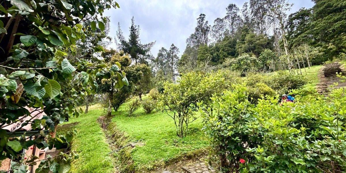 Amaguaña – Sector Fuerte Militar Ecuador / La Balvina | Vendo Finca de 9,95 Hectáreas — imagen 4