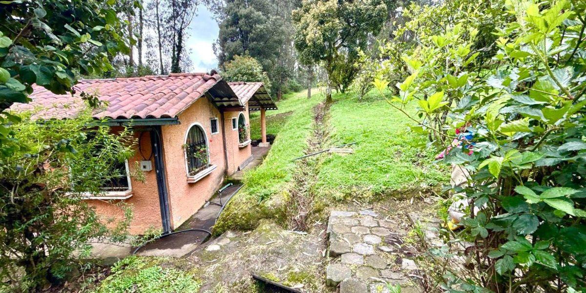 Amaguaña – Sector Fuerte Militar Ecuador / La Balvina | Vendo Finca de 9,95 Hectáreas — imagen 3