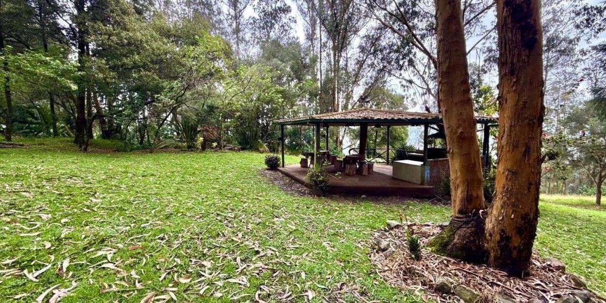 Amaguaña – Sector Fuerte Militar Ecuador / La Balvina | Vendo Finca de 9,95 Hectáreas — imagen 2