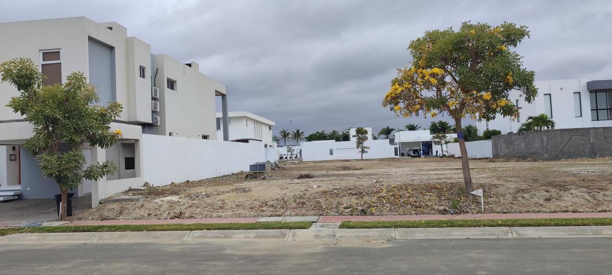 Terreno en Venta, Urb Marenostro, Punta Blanca, Eram — imagen 8