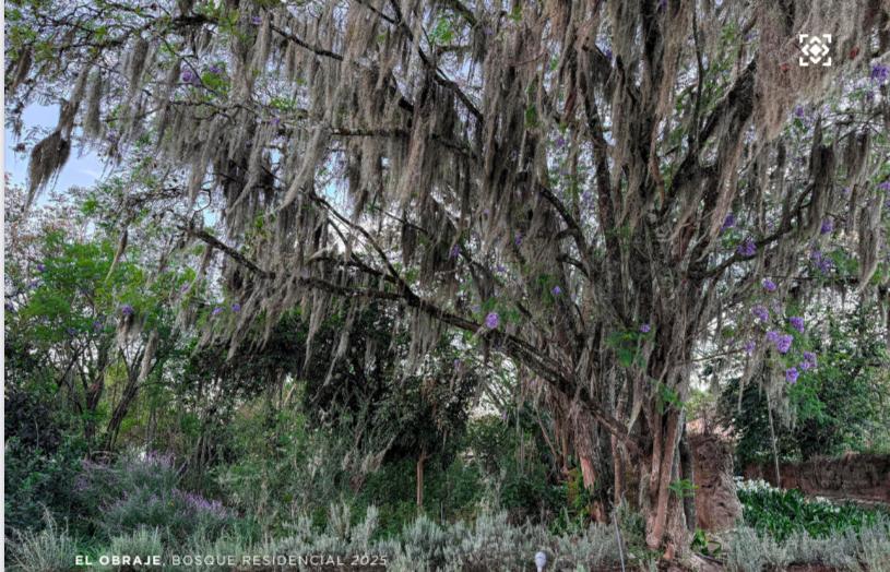 Vive Rodeado de Naturaleza — imagen 9