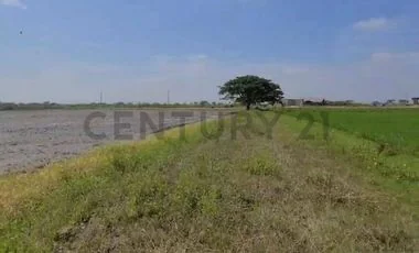 Terreno en venta en Samborondon — imagen 4
