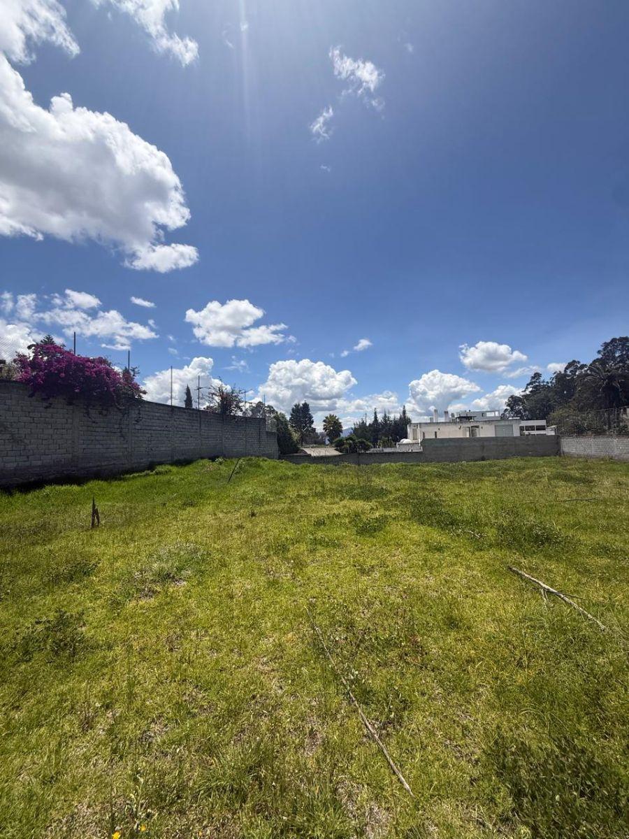 Terreno de 1372 m² en Venta Dentro de Urbanización Lomas de Monteserrin — imagen 6