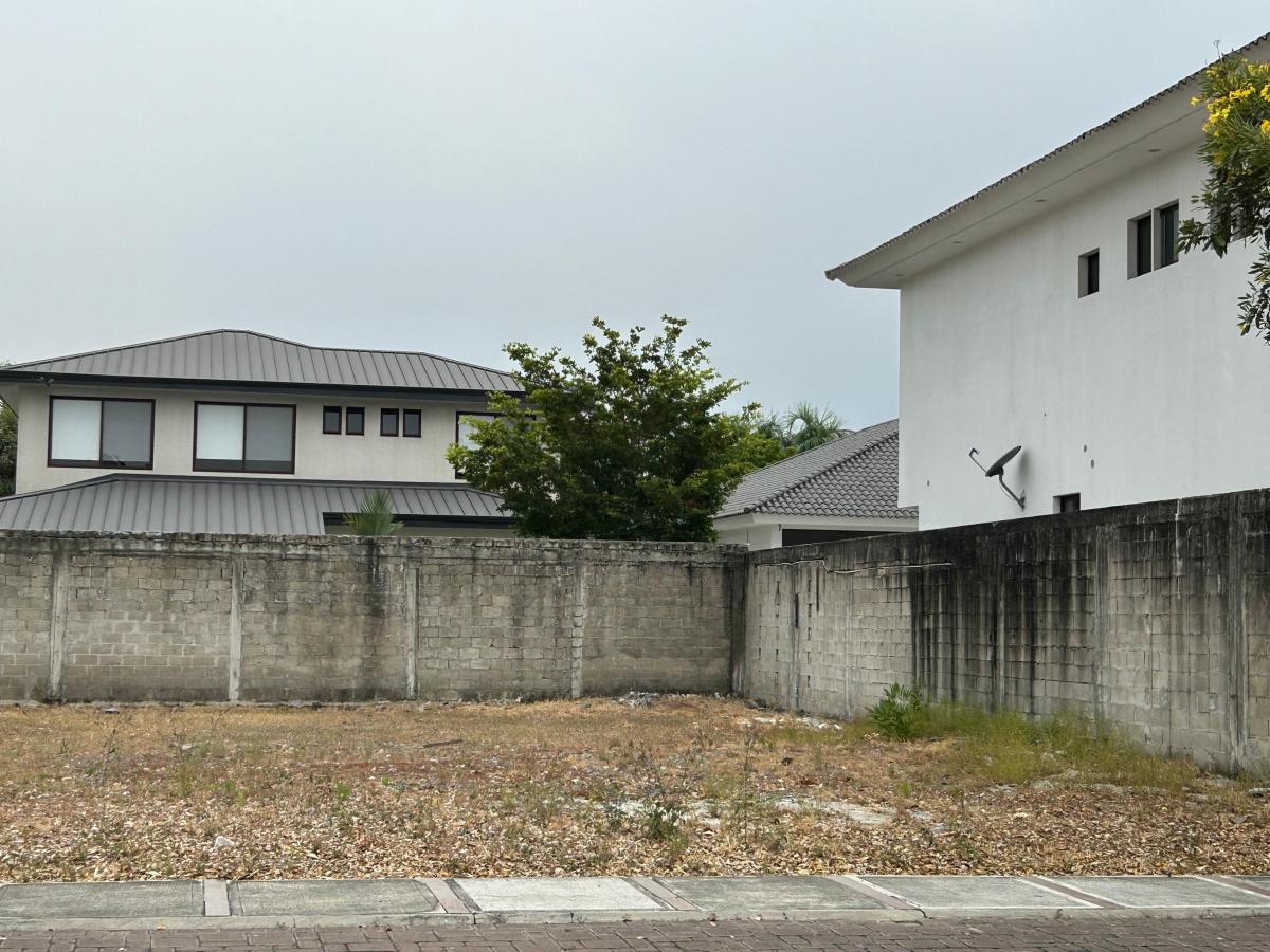 Vendo Hermoso Terreno en Isla Mocoli, Guayas — imagen 10