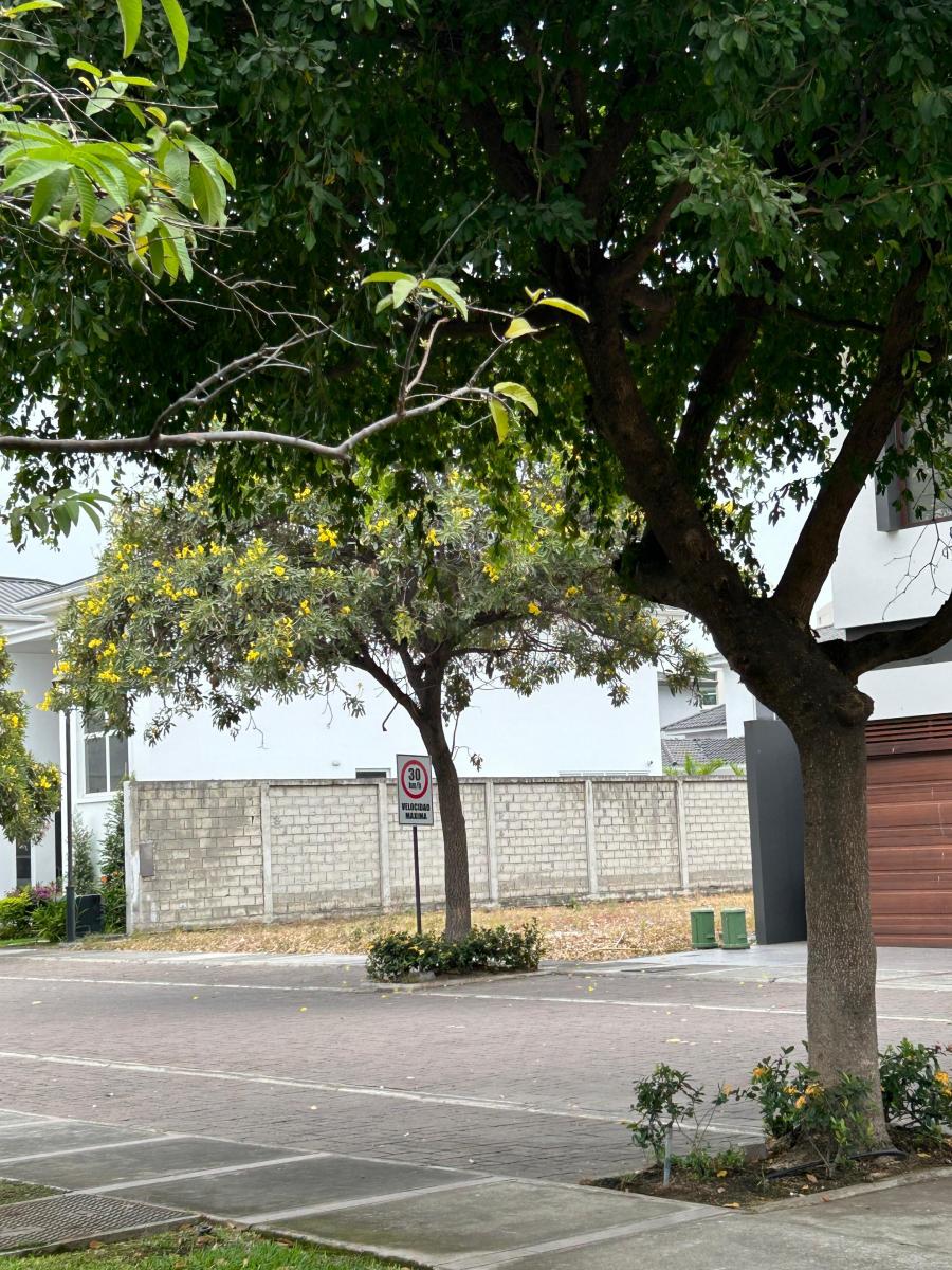 Vendo Hermoso Terreno en Isla Mocoli, Guayas — imagen 9