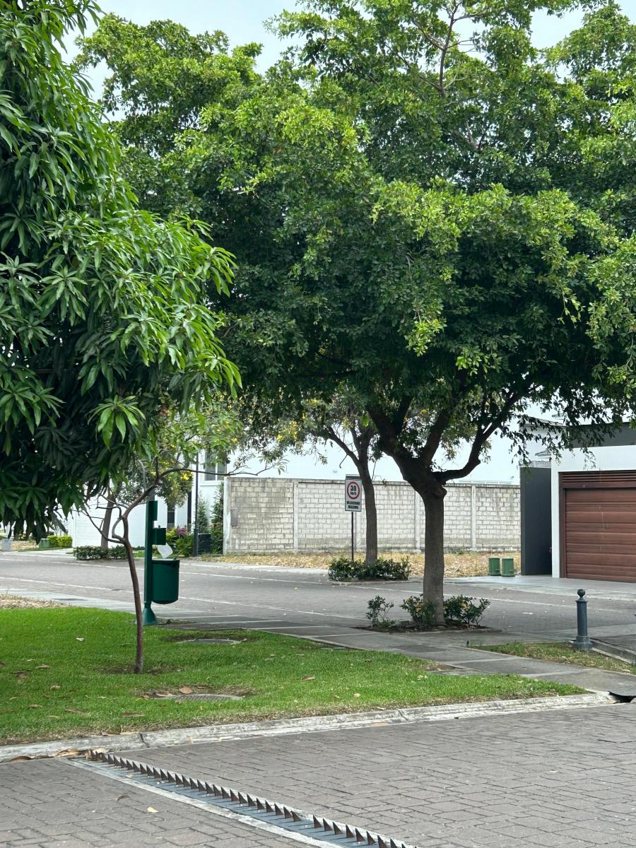 Vendo Hermoso Terreno en Isla Mocoli, Guayas — imagen 7