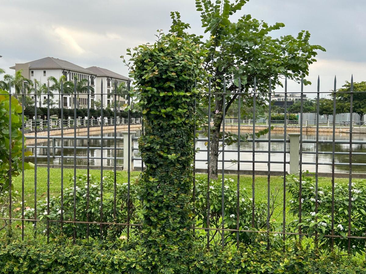 Vendo Hermoso Terreno en Isla Mocoli, Guayas — imagen 4