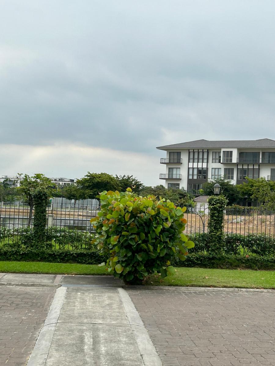 Vendo Hermoso Terreno en Isla Mocoli, Guayas — imagen 2