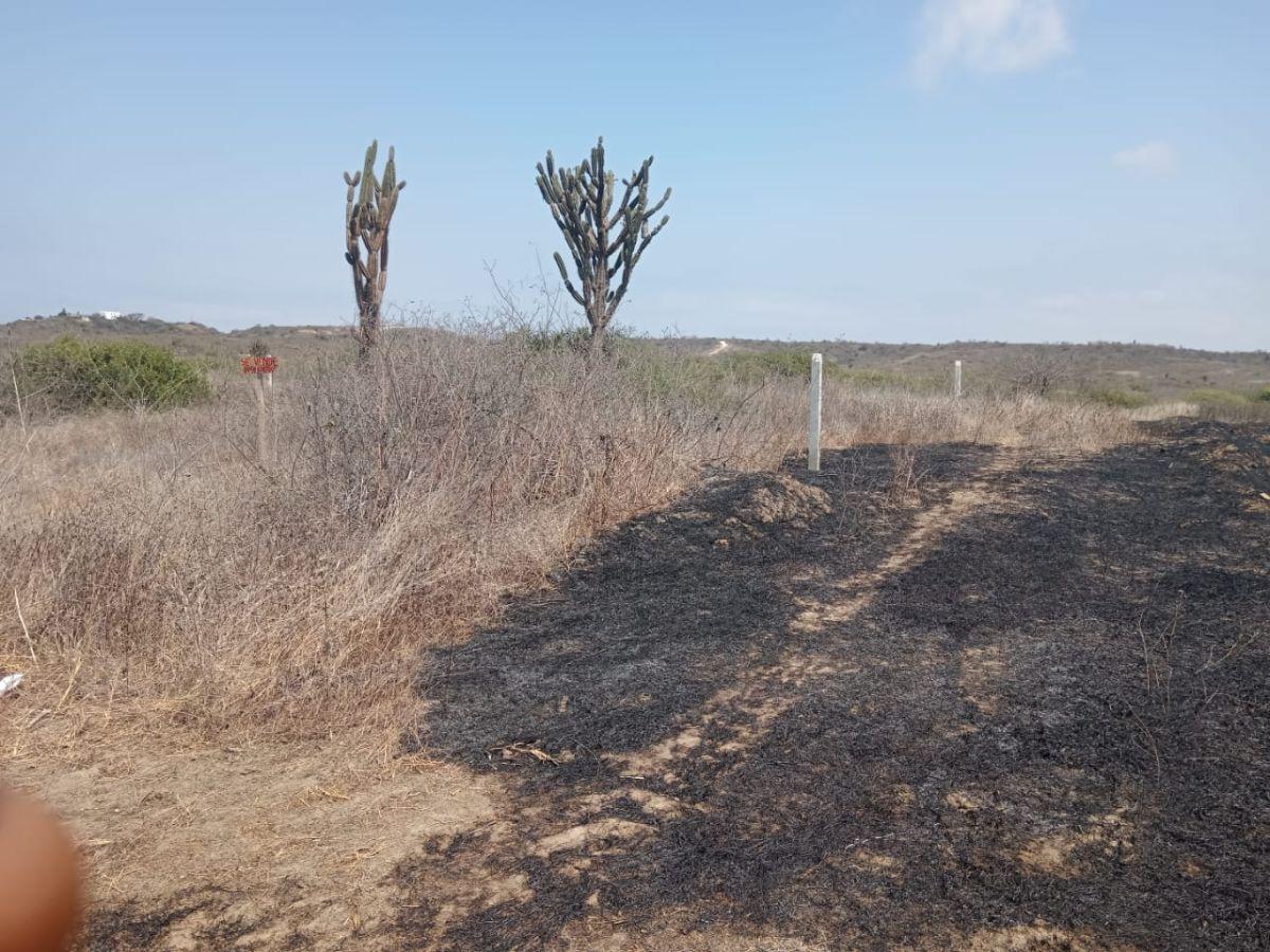 Vendo Solar de 250 m² en Punta Blanca Frente a Entrada 5 — imagen 6