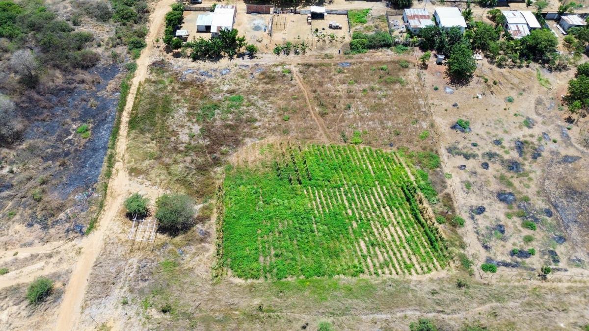 Venta de 41.7 Hectáreas en Posorja de Uso Mixto, Guayas — imagen 7