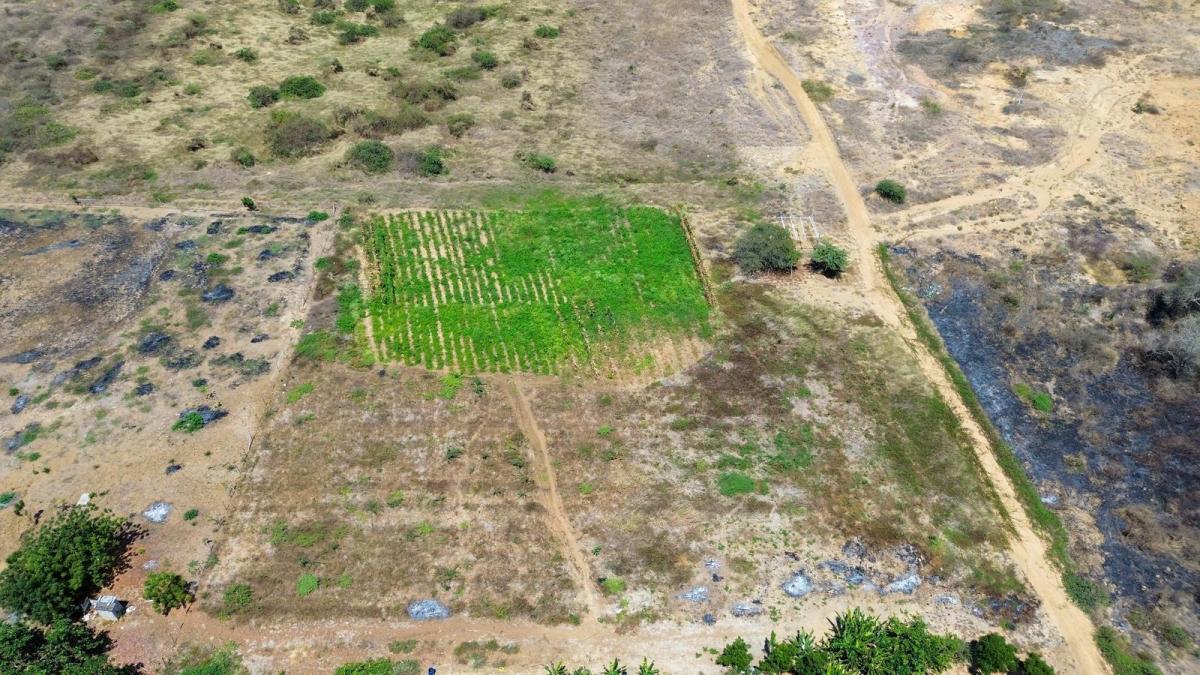 Venta de 41.7 Hectáreas en Posorja de Uso Mixto, Guayas — imagen 6