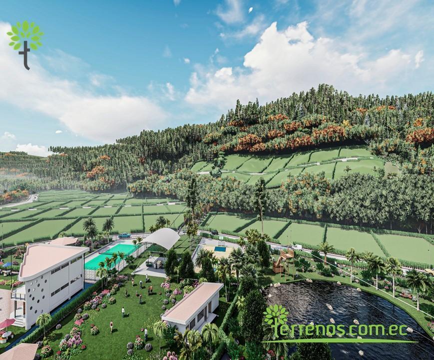 Venta de Terreno 1.254 m² Proyecto Mindo Housing en Mindo. Provincia de Pichincha — imagen 10