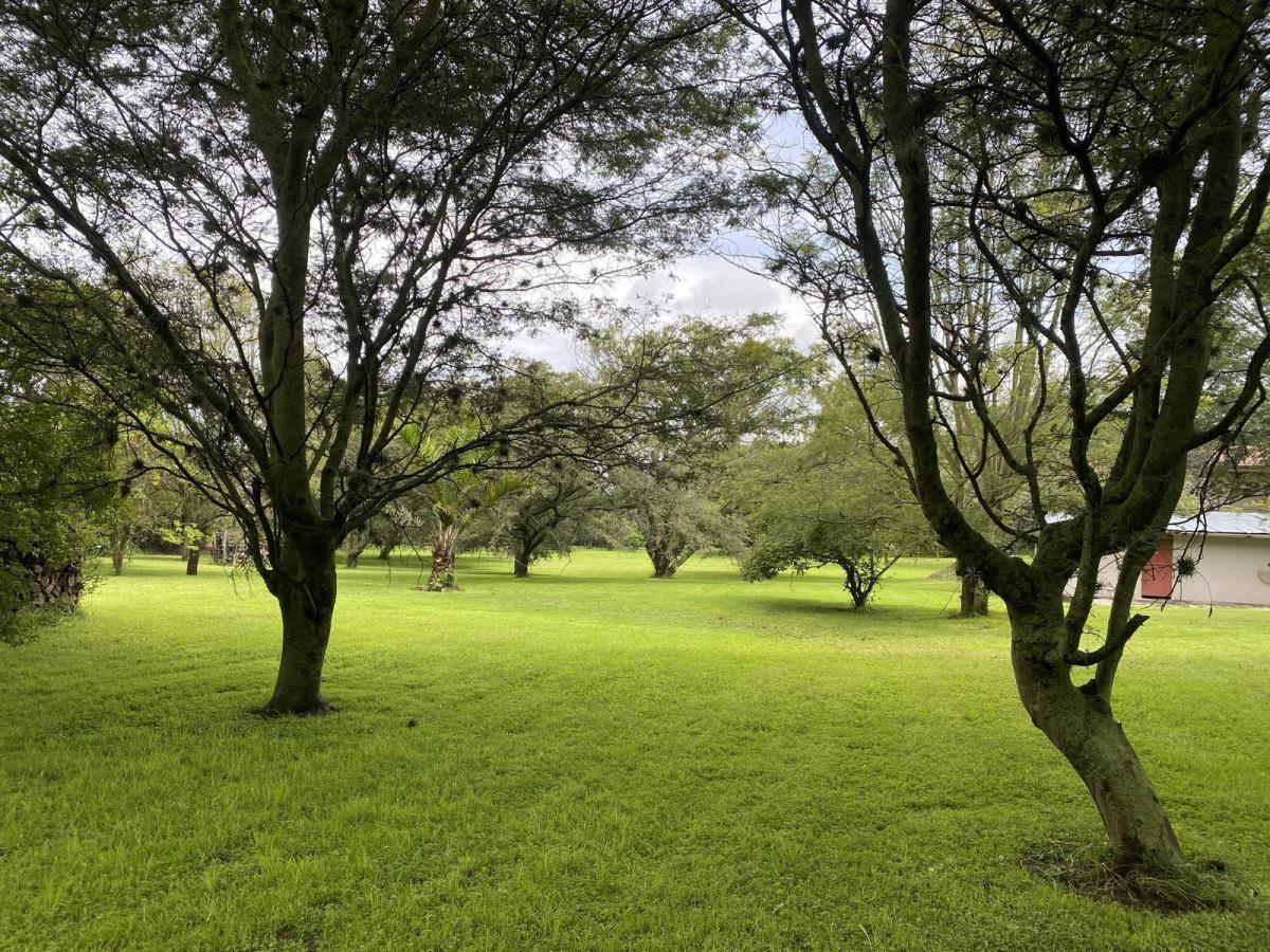 Terreno de Venta en Sector Hilacril, Calle Aurélio Dávila Cajas. Constructores, Inversión. Provincia de Pichincha — imagen 10
