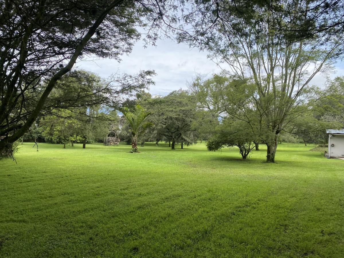 Terreno de Venta en Sector Hilacril, Calle Aurélio Dávila Cajas. Constructores, Inversión. Provincia de Pichincha — imagen 9