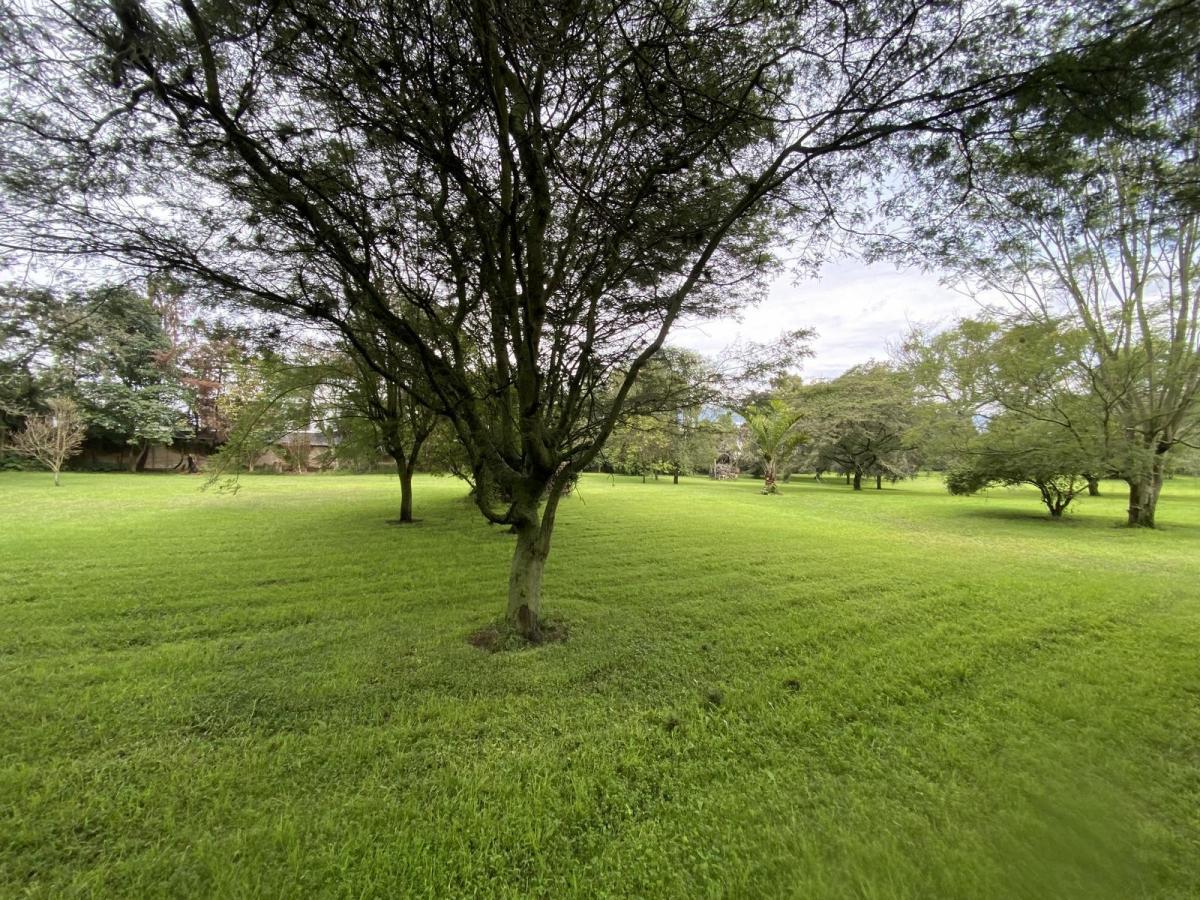 Terreno de Venta en Sector Hilacril, Calle Aurélio Dávila Cajas. Constructores, Inversión. Provincia de Pichincha — imagen 8