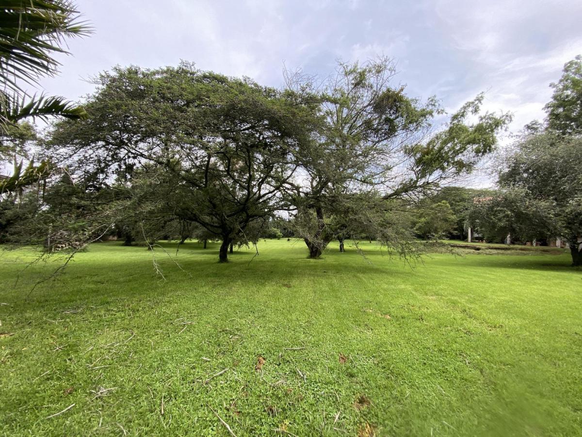 Terreno de Venta en Sector Hilacril, Calle Aurélio Dávila Cajas. Constructores, Inversión. Provincia de Pichincha — imagen 6