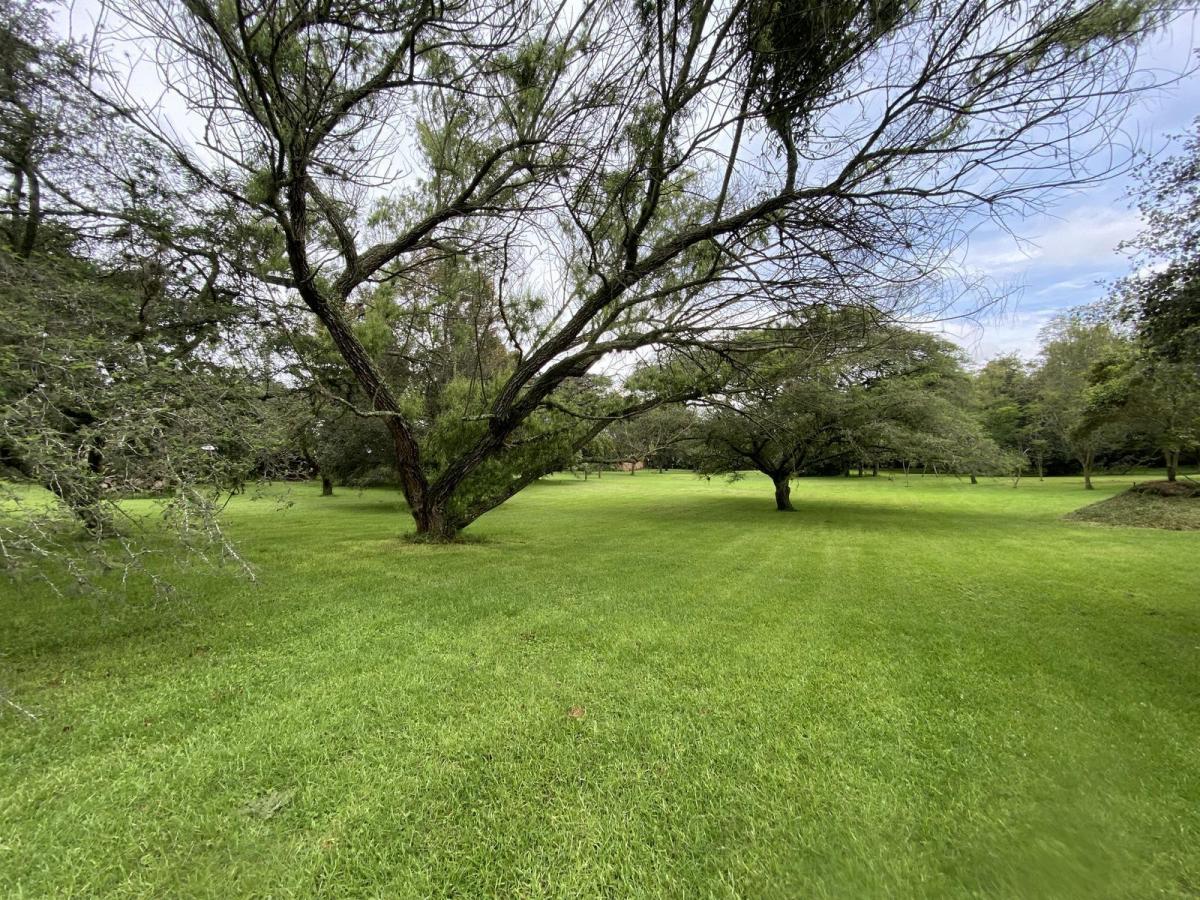 Terreno de Venta en Sector Hilacril, Calle Aurélio Dávila Cajas. Constructores, Inversión. Provincia de Pichincha — imagen 5