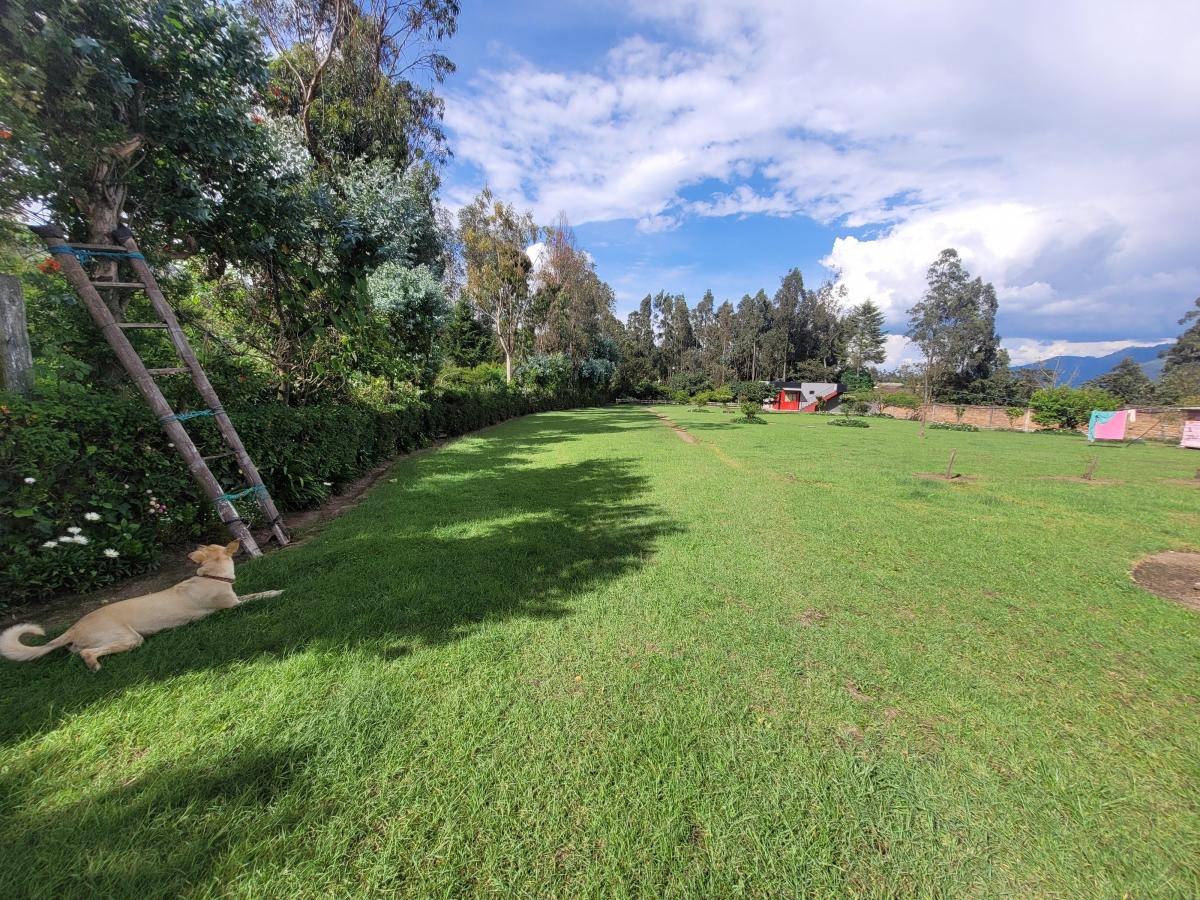 Venta Terreno Conocoto Area 3.895 m Plano Calle Nicolas Ponce. Provincia de Pichincha — imagen 6