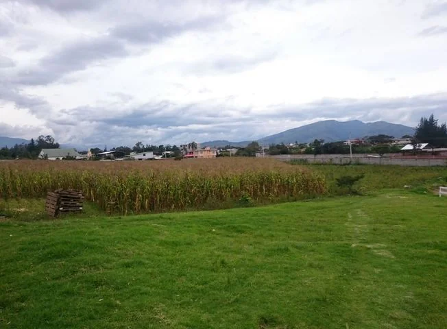 Terreno en venta en Puembo — imagen 1