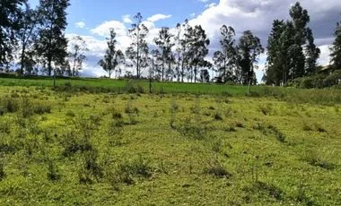 Terreno en venta en Puembo — imagen 4
