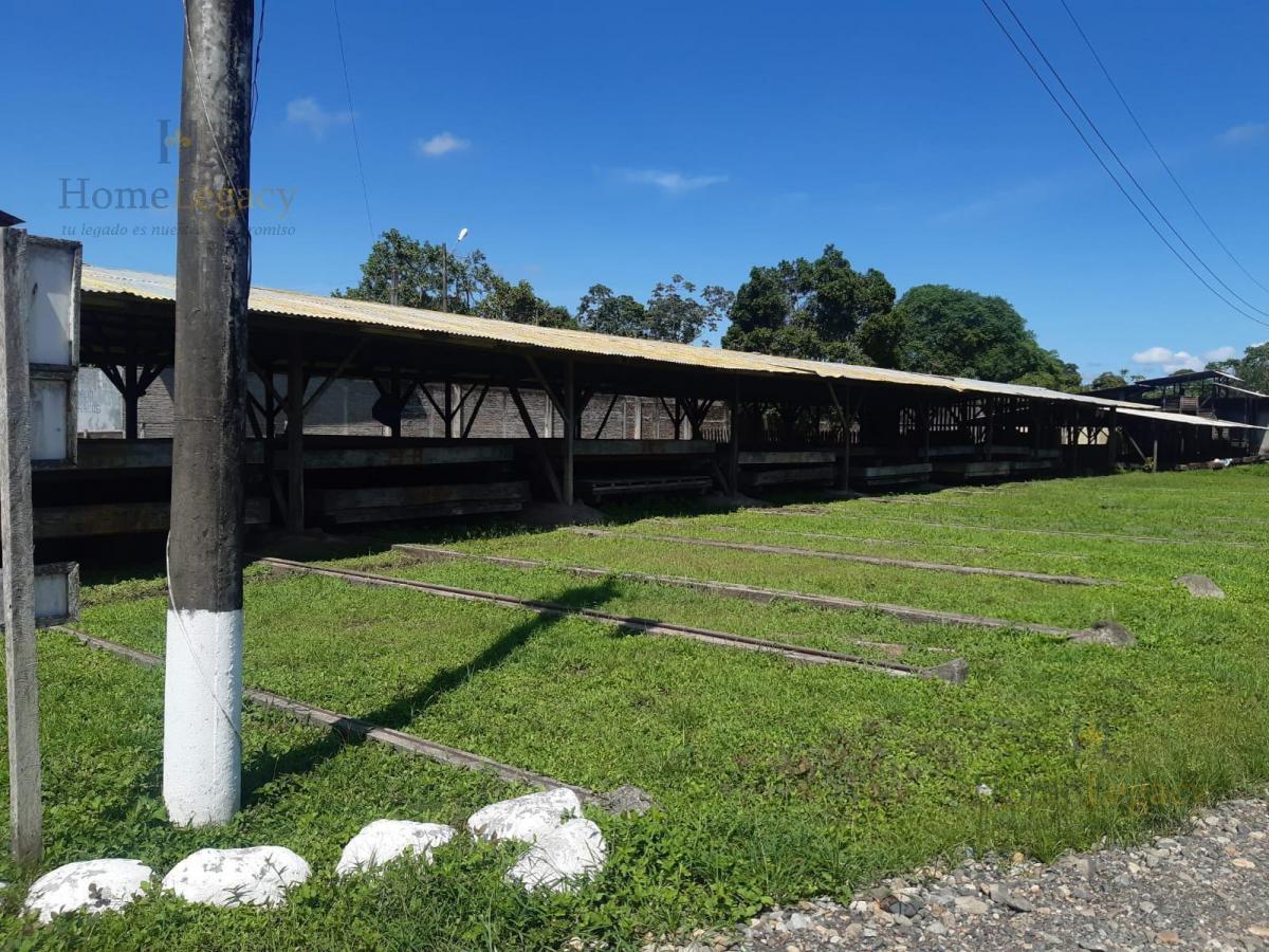 Haciendas en Venta – Inversión Estratégica Norte de Naranjal Am, Guayas — imagen 8
