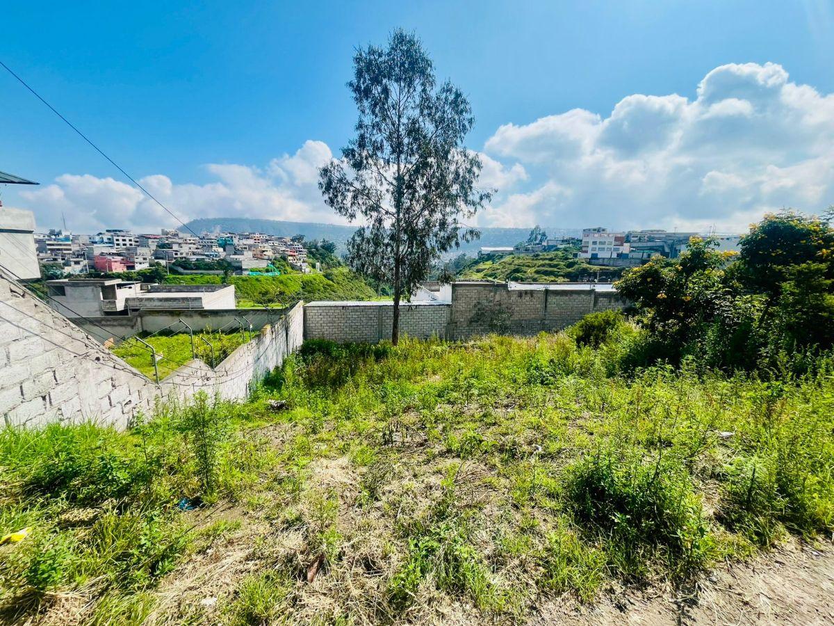 Terreno en Venta, Mastodontes. Provincia de Pichincha — imagen 9