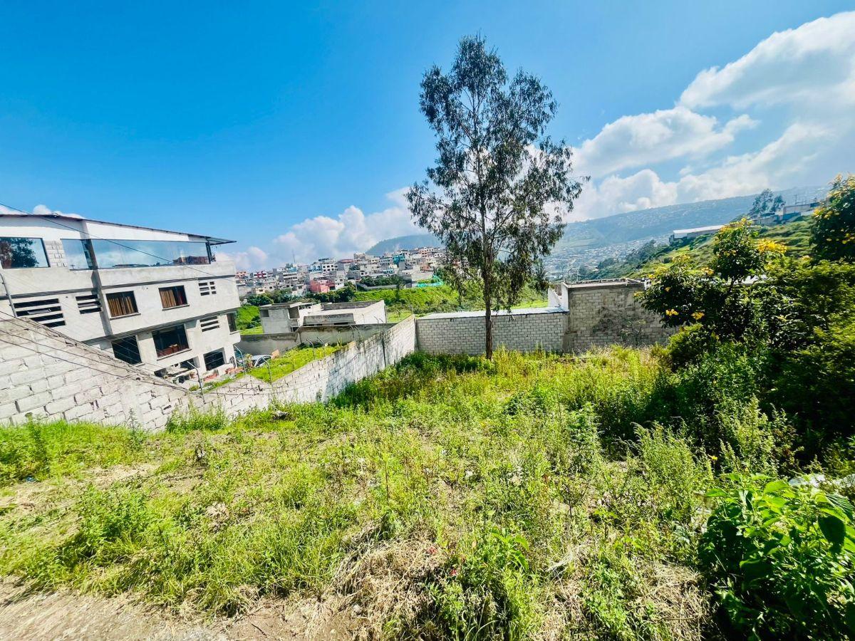 Terreno en Venta, Mastodontes. Provincia de Pichincha — imagen 8