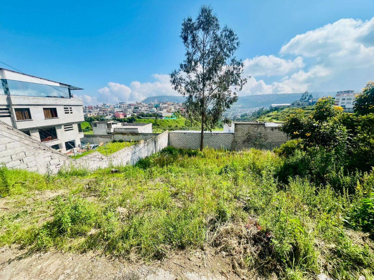 Terreno en Venta, Mastodontes. Provincia de Pichincha — imagen 6
