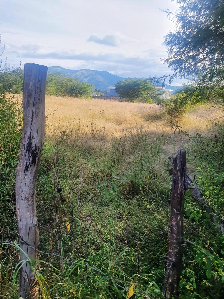 "Terreno de 6000 m² en Venta Tumbaco, Santa Rosa, Derechos y Acciones." — imagen 10