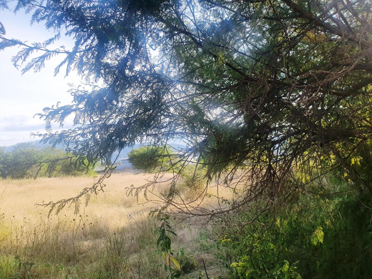 "Terreno de 6000 m² en Venta Tumbaco, Santa Rosa, Derechos y Acciones." — imagen 9