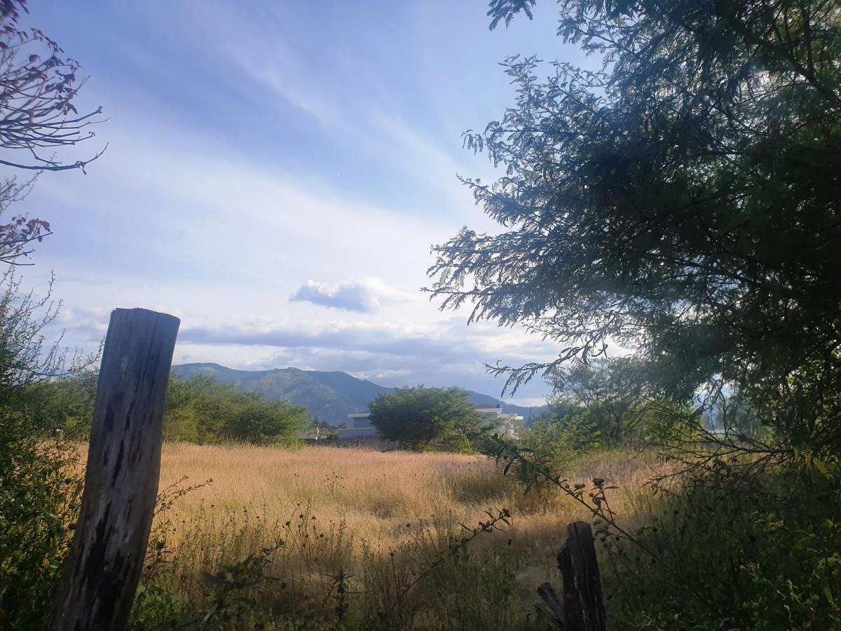 "Terreno de 6000 m² en Venta Tumbaco, Santa Rosa, Derechos y Acciones." — imagen 8