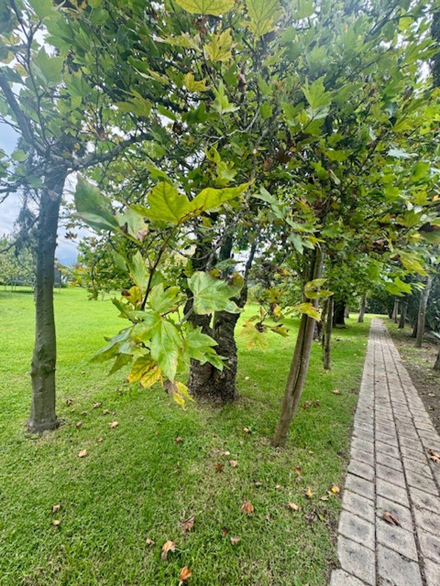 $218.500, 1214 m² en Entorno Verde Sector San Jose — imagen 7