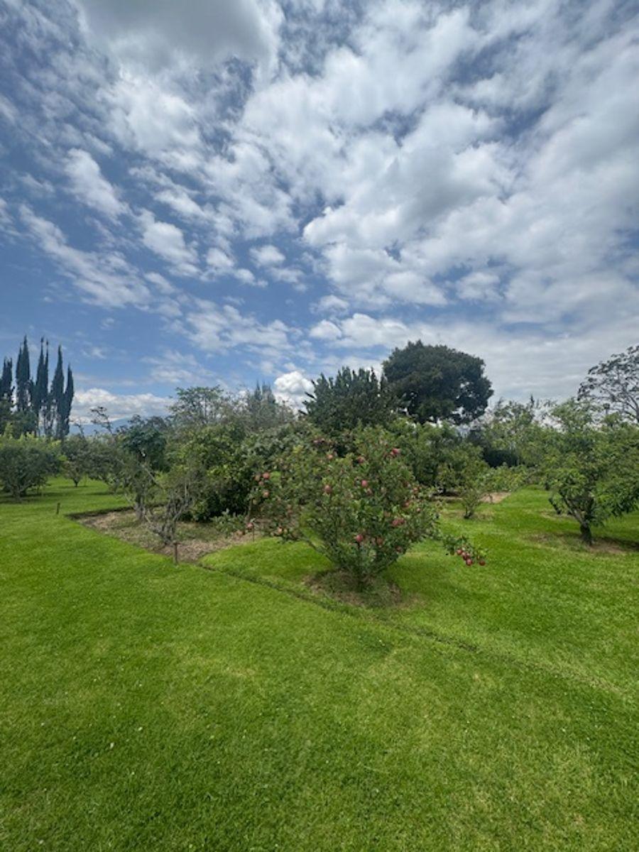 $218.500, 1214 m² en Entorno Verde Sector San Jose — imagen 6