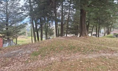 Terreno en venta en La Armenia — imagen 4