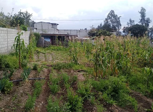 Terreno en venta en La Armenia — imagen 3