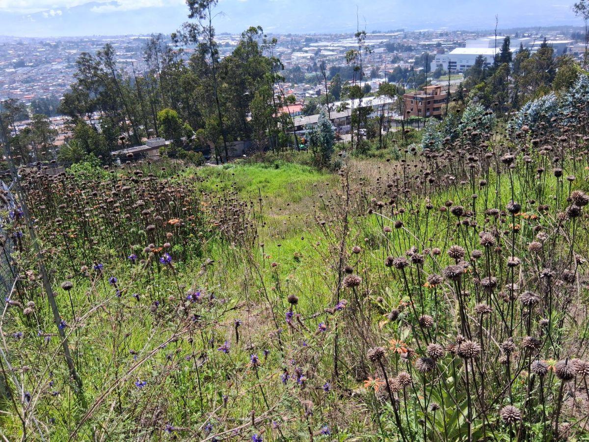Vendo Terreno Oportunidad Panamerica Norte Cerca Portal Shopping — imagen 9