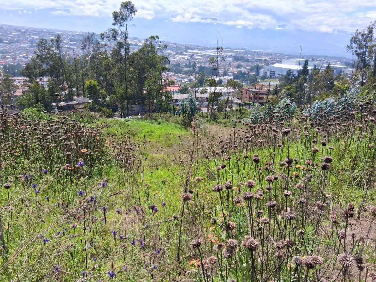 Vendo Terreno Oportunidad Panamerica Norte Cerca Portal Shopping — imagen 6