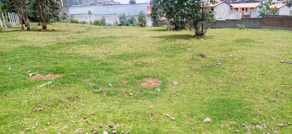Se Vende Hermoso Terreno de 2000 m — imagen 5