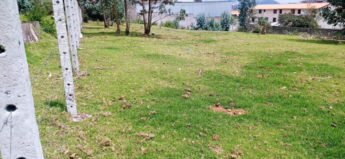 Se Vende Hermoso Terreno de 2000 m — imagen 3